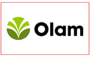 Olam
